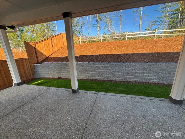 Back patio and yard