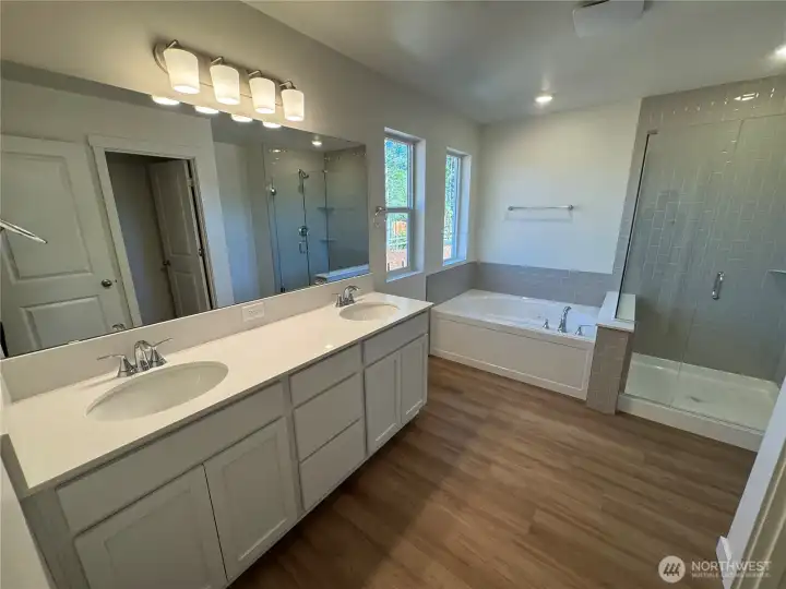 Actual interior picture