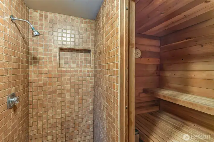 Dry sauna in the lower level.