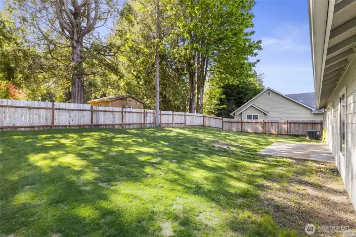 Large fully fenced backyard!