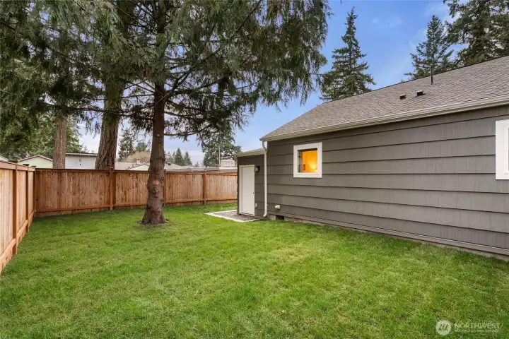 New sod in the side/back yard