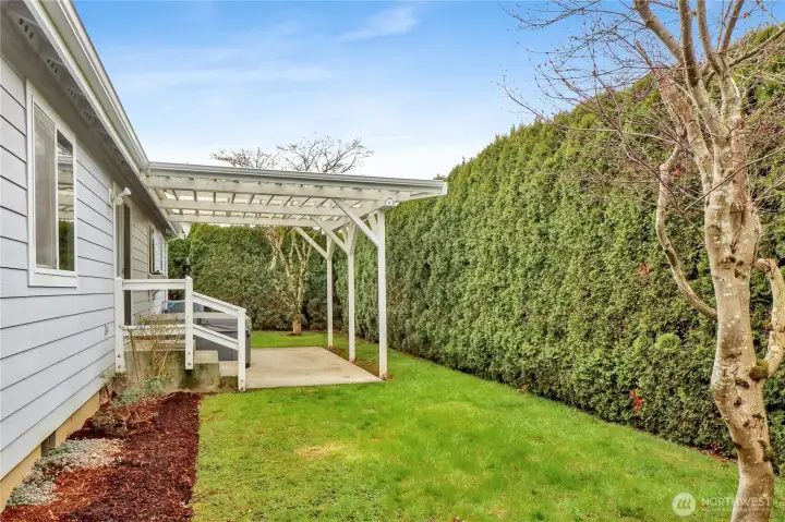 Lush green arborvitae trees line the yard, creating a serene sense of privacy and a peaceful retreat right at home.