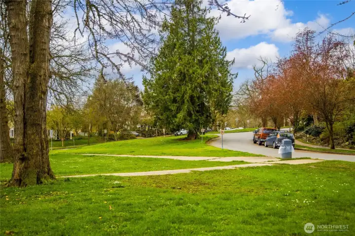 The Olmsted Brothers-designed boulevard runs just outside the front door, with sweeping lawns, mature trees, and gently curving pathways — one of Seattle's most beautiful residential streets to walk, run, or simply enjoy.