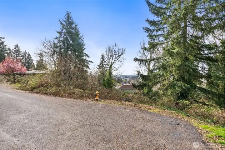 Entrance off of Maple