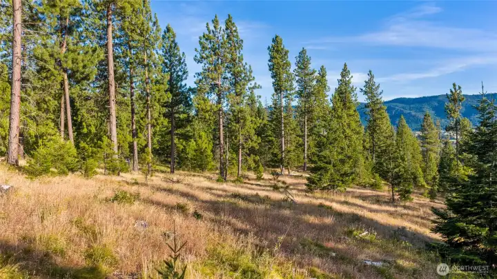 Open meadows to build your dream home! Open meadows to build your dream home!