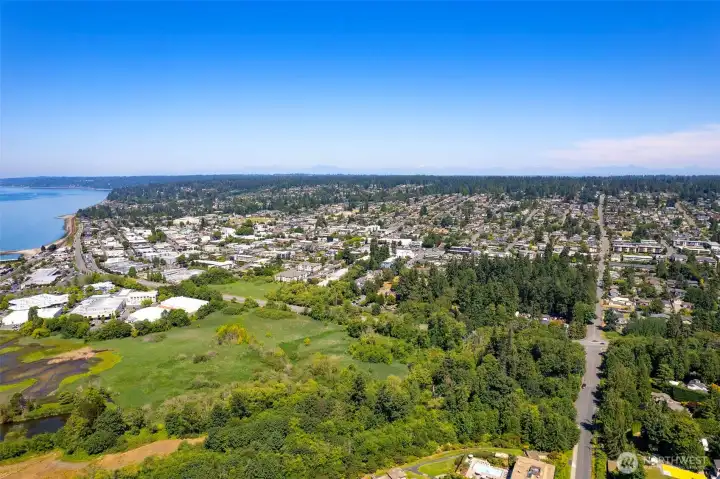 Drone shot of Edmonds Bowl.