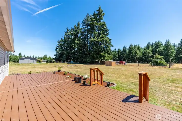 Deck Deck