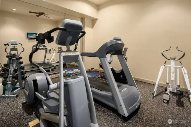 The Spacious Home Gym features a full-mirrored wall, rubber flooring and includes a Treadmill, Bike, Elliptical & Stair Machine.