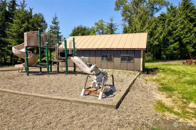 Play structure and large storage shed