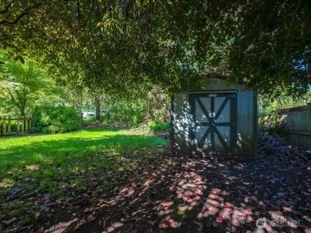 Backyard.