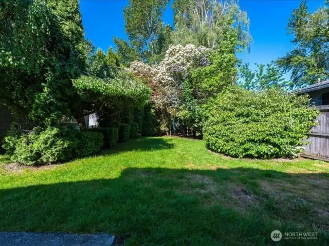 Backyard.