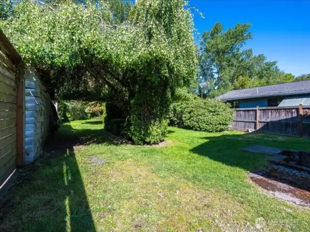 Backyard.