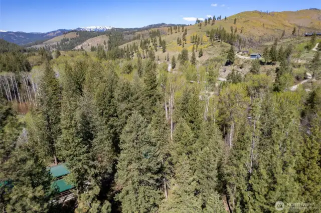 The Twisp River drainage.