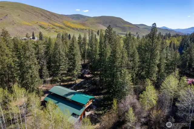 The wildflowers turn the hills yellow in the springtime!