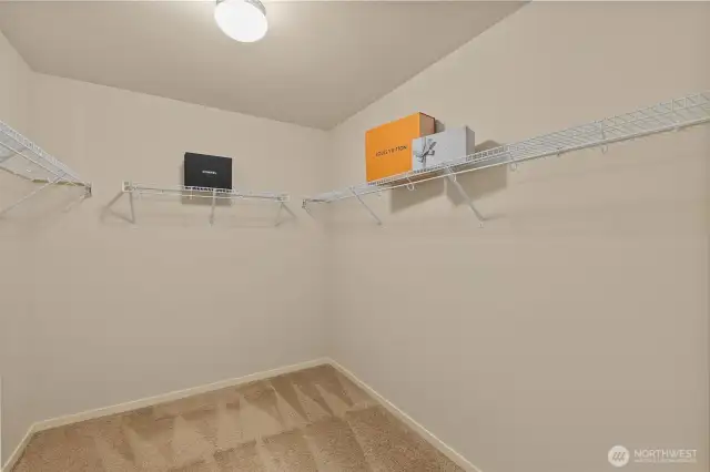 &large walk-in closet