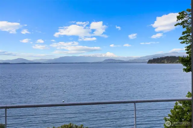 Deck View~
