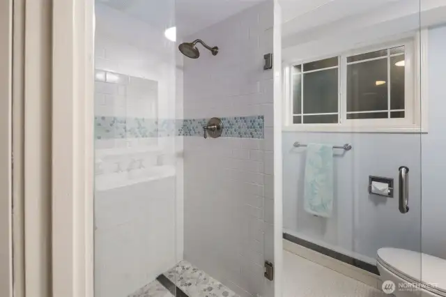 Lower Guest Shower~