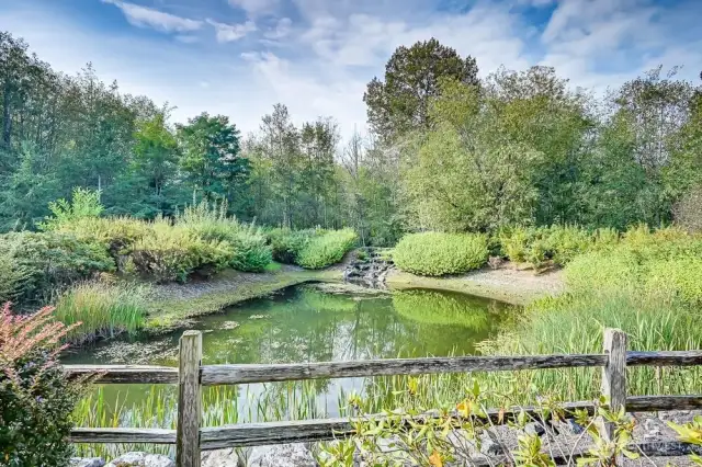 Large pond & waterfall
