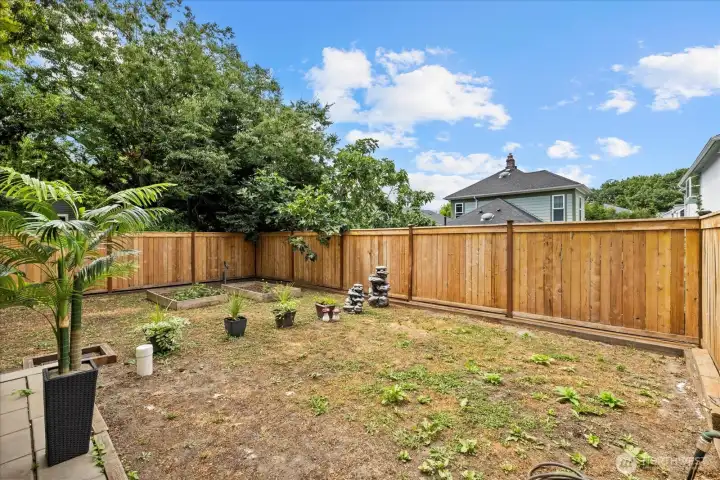 AADU Back Yard