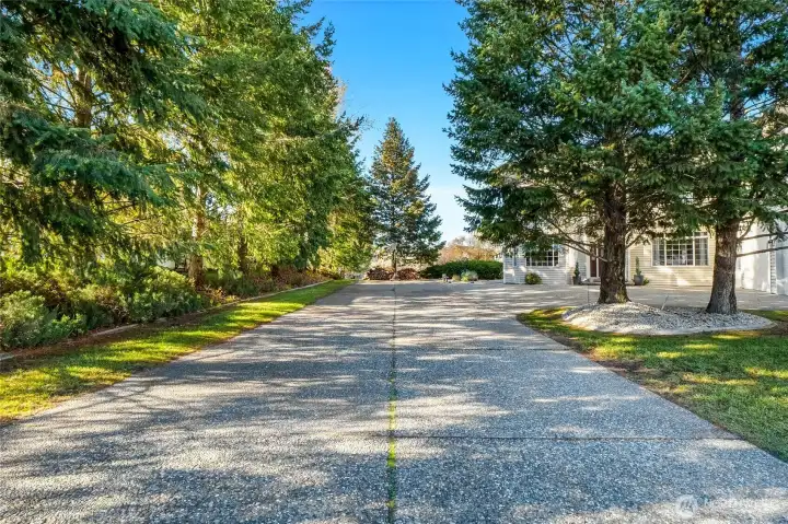 Tree lined driveway for that distinguished feel.