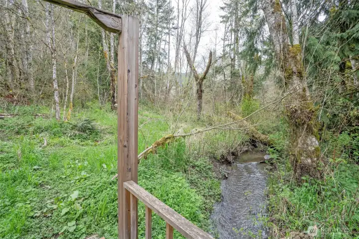 Scenic view from the footbridge looking back over the wooded portion of the property.