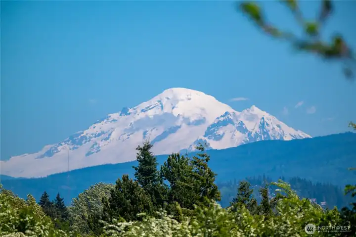 View of Mt Baker (not from the interior of the Unit)