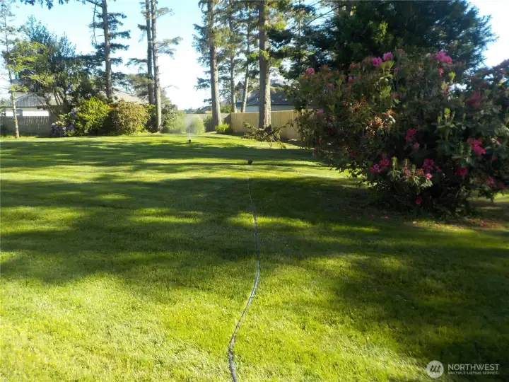 NICE YARD AREAS