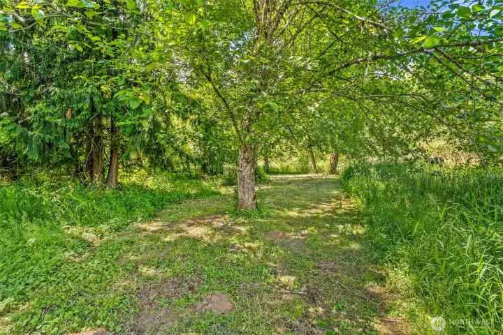 Trail to River Trail to River