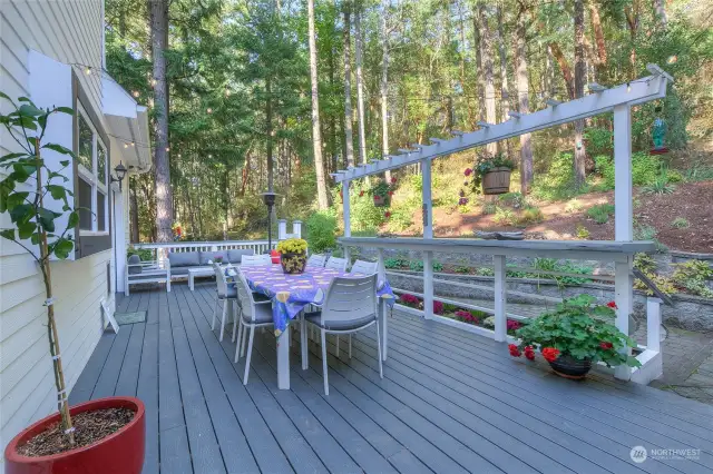 Large deck for outdoor entraining and dinner under the stars