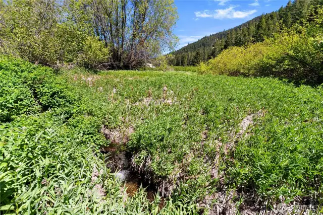 Chumstick Creek