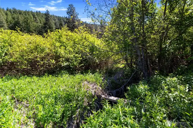 Chumstick Creek