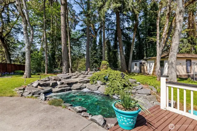 Waterfall/pond feature