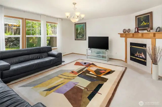 Gas Fireplace