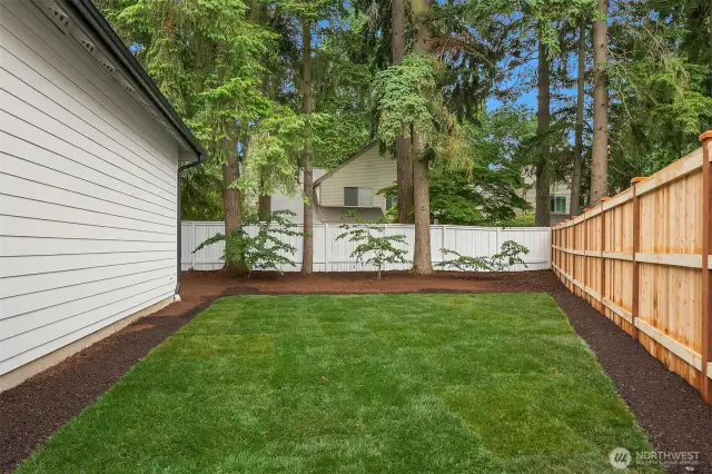 North Side yard