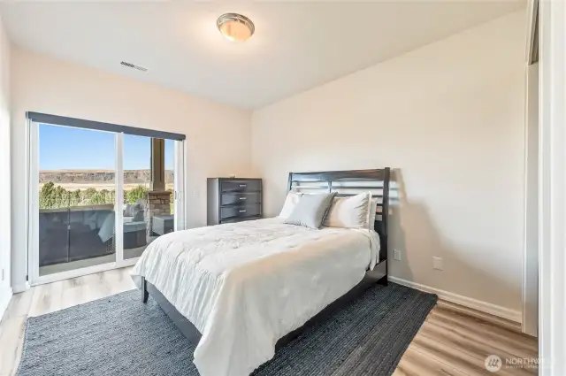 Lower Level Bedroom with Private Sliding Door to Lower Patio