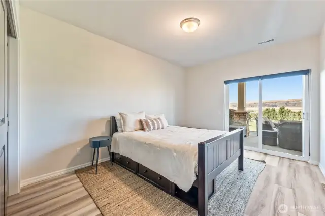 Lower Level Bedroom with Private Sliding Door to Lower Patio