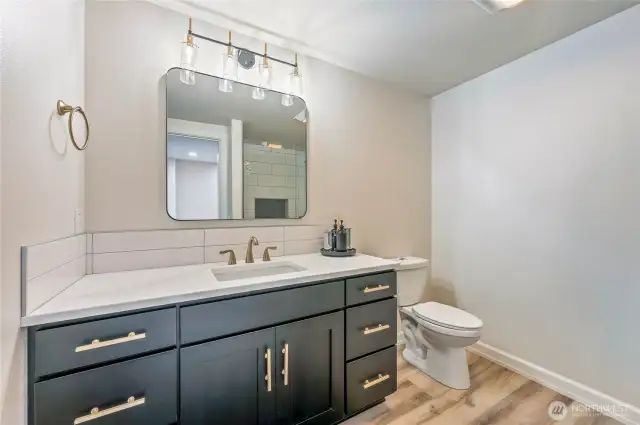 Lower Level Bathroom