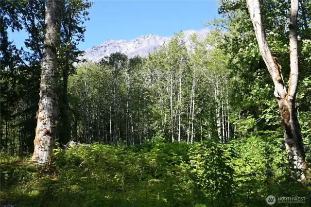 Mountain view site!
