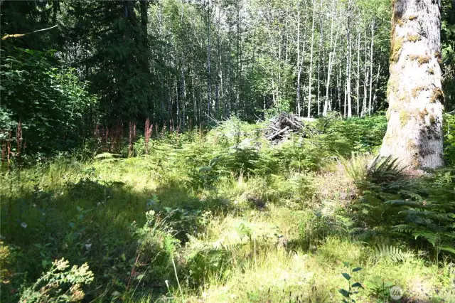 2+ acres!