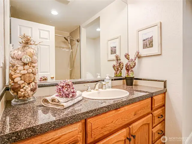 Guest bathroom