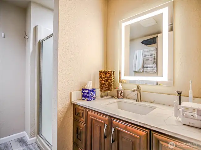 Lower level bathroom