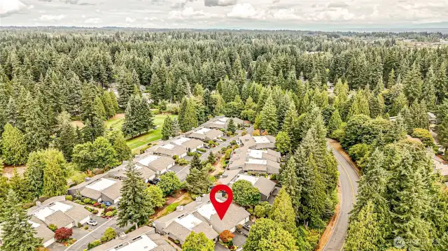 Fairview Village surrounded by trees!