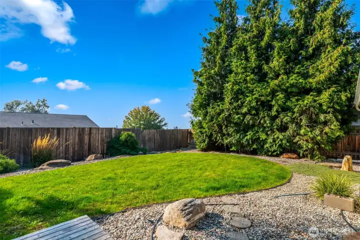 Fully fenced, spacious backyard with room for gardening, entertaining, and relaxing.