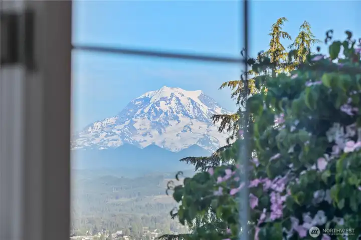 View from window in living room.