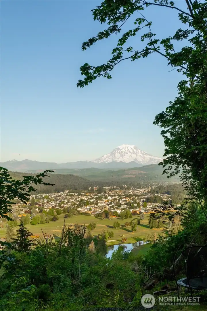 Looking to your left when exiting the detached garage/shop.
