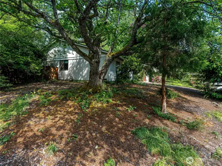 side yard side yard