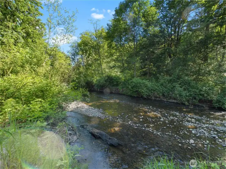 Issaquah Creek