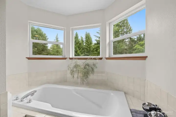 Primary bathroom tub. Primary bathroom tub.