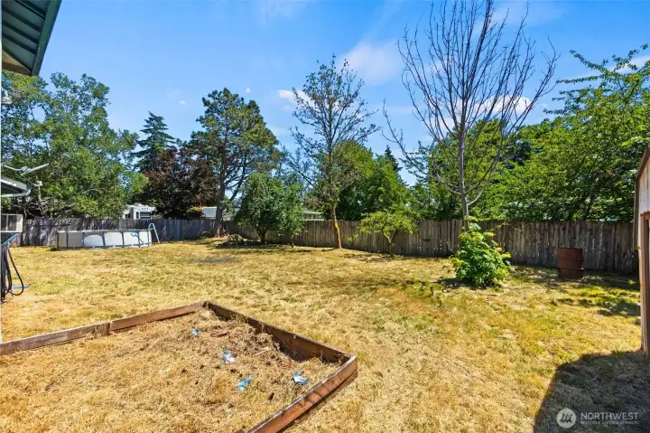 .29 Acre Backyard with 2 Fruit Trees .29 Acre Backyard with 2 Fruit Trees