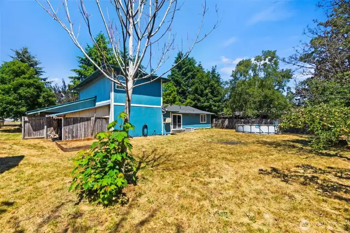 .29 Acre Backyard .29 Acre Backyard